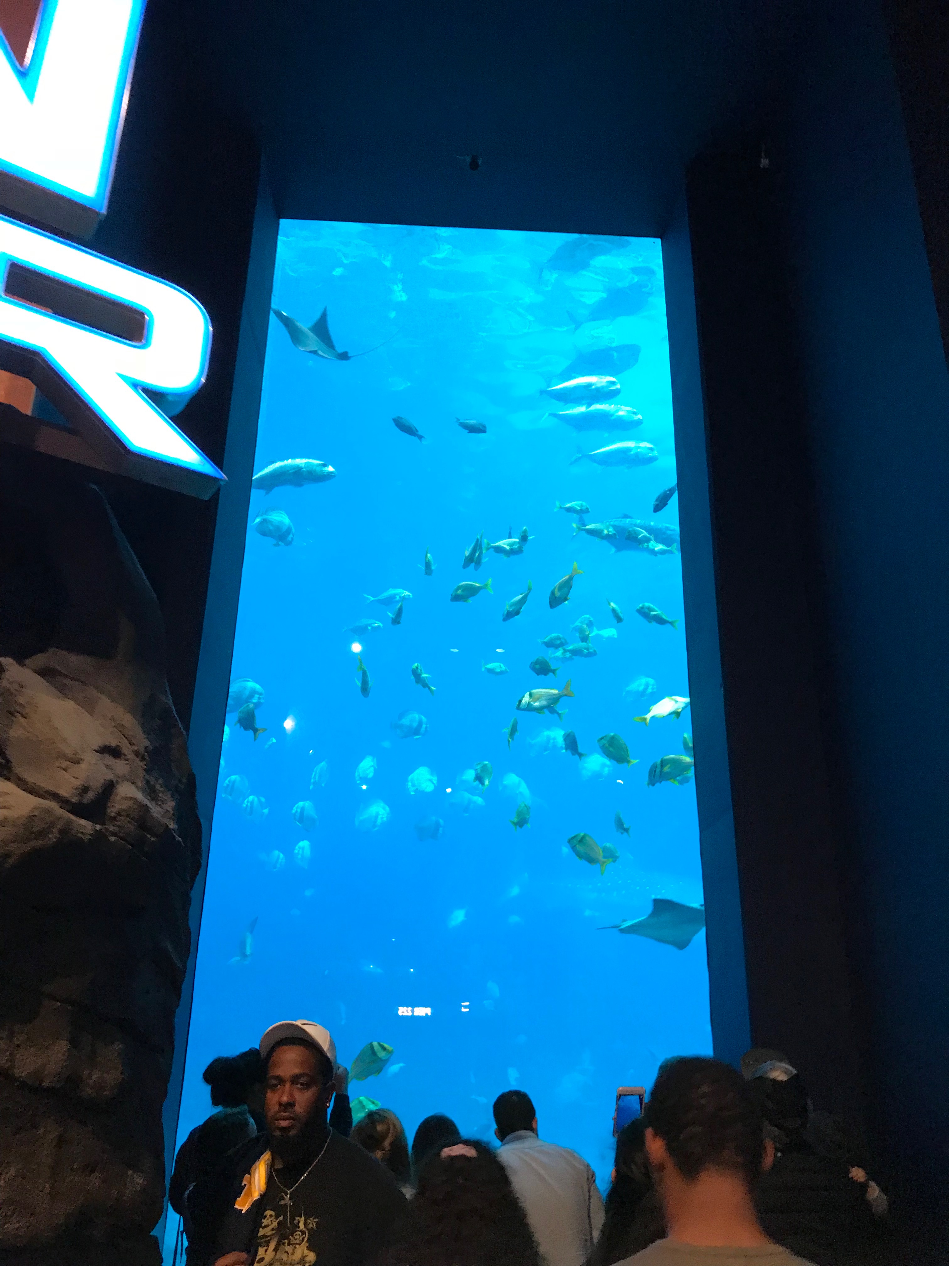 aquarium 2