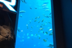 aquarium 2