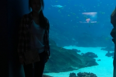 aquarium 5