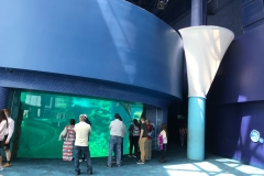 aquarium 6